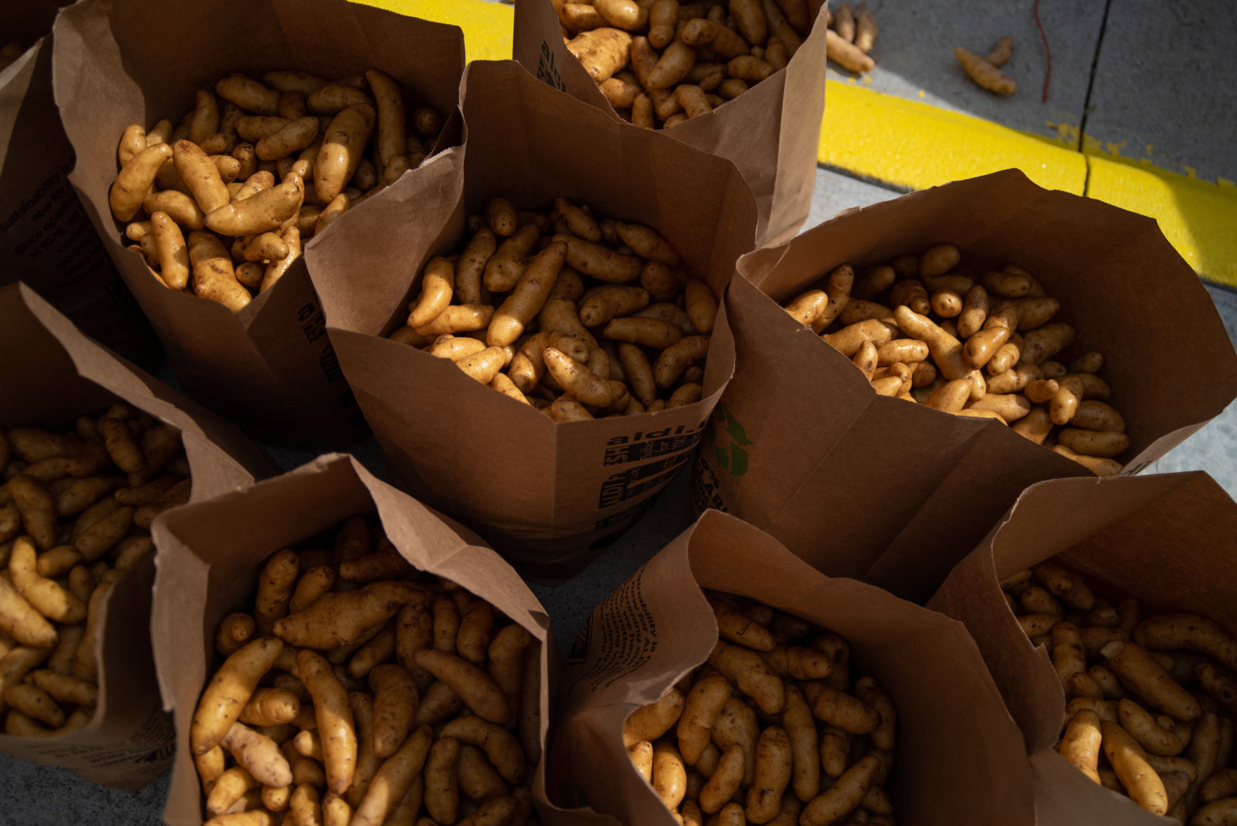 Free bags of potatoes are available for pickup from 9:00 a.m. to 5:00 p.m. at University Christian Church on Saturday.